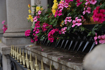 Balcony adorned with flowers, London