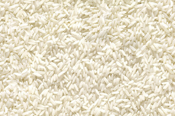 Medium and round grain white jasmine rice texture for background. Organic natural food background...