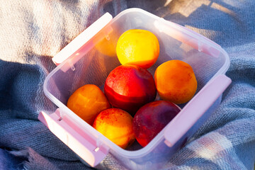 peaches are lying on the beach on a picnic in the rays of sunlight