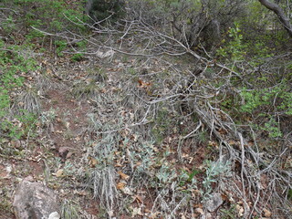 Outdoor nature scene