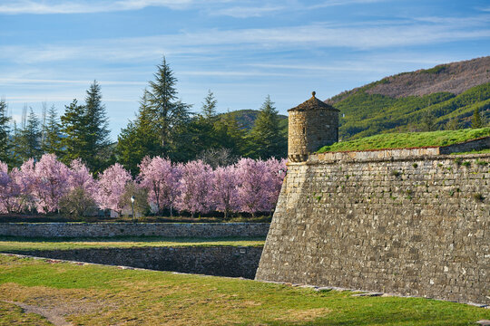 Citadel of Jaca in spring time