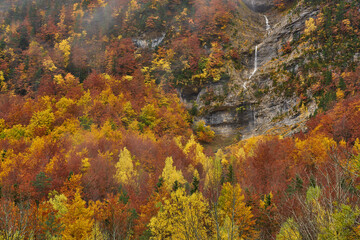 Colorful autumn season on Ordesa and Monte Perdido national park in Pyrenees of Spain..Ara river in Bujaruelo