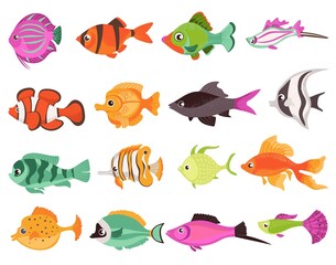 Aquarium fish. Colorful decorative domestic aquatic animals. Different breeds. Cartoon multicolor creations. Marine fauna elements. Swimming goldfish. Splendid vector water pets set