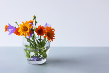 Blue bluebell flowers and orange calendula flowers on an gray background.