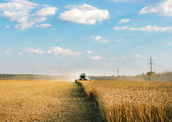 Combine in the field harvests wheat. Export and import of wheat from Russia. World food crisis.
