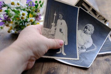 closeup female hand holding old photos of 1940-1950, , concept of family tree, genealogy, childhood...