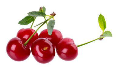 Cherry isolated on white background. Red ripe berry of sweet cherry. Clipping path.
