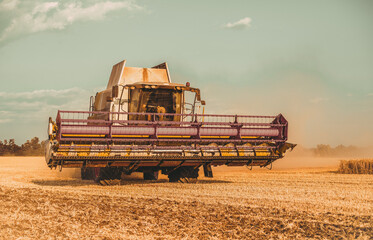 Fototapeta premium Ukrainian harvester collects wheat. Harvesting wheat in Ukraine.