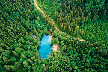 Blue lake in the middle of green forest, aerial view. Wild colorful lake in mountain park in Poland. Beautiful nature landscape