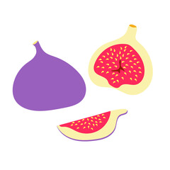 Fig fruit vector design. Vector illustration cartoon flat icon isolated on white background. Exotic fruit figs.