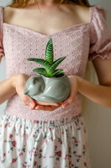 Close up view of flowerpot in