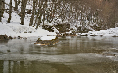 Ordesa y Monte Perdido national park on winter.. the Arazas river is froze and even the big waterfalls