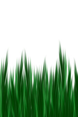 Fototapeta premium abstract view of plants, herbs, leaves in green color