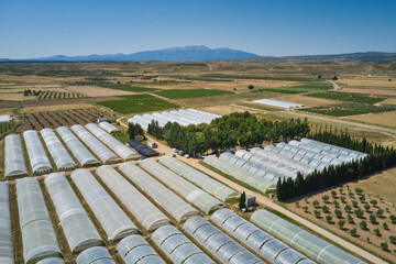 Organic farming with greenhouses