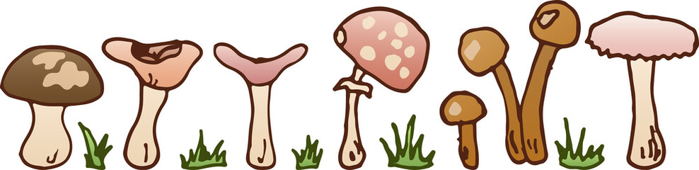 A set of illustrations of mushrooms and grass with an outline. Champignon, syroezhka, oyster and honey mushrooms, fly agaric, eps ready for use. For your design