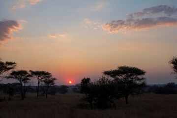 Fototapeta na wymiar Sunrise over the Serengeti