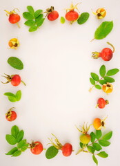Rose hips isolated on white background. Berries for medicinal tea. Frame of colorful bright  leaves and brier. Autumn concept. Top view, copy space, flat lay.	