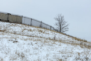 crooked fence on a hill and a lone tree in winter