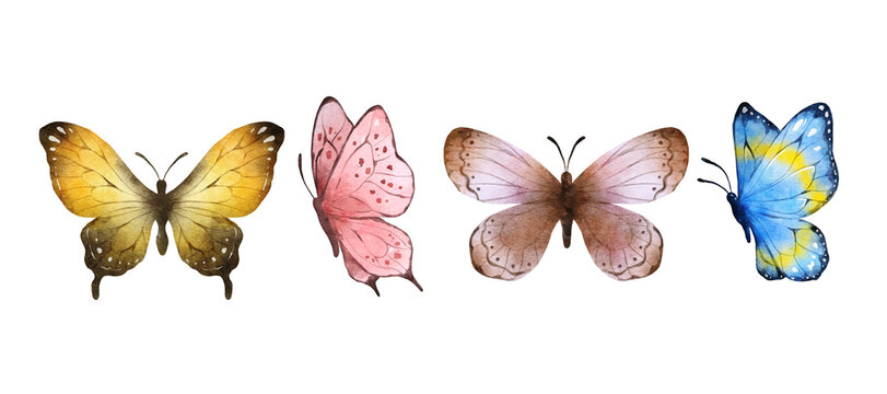 Colorful butterflies watercolor isolated on white background. Orange, pink, yellow brown and blue butterfly. Spring animal vector illustration