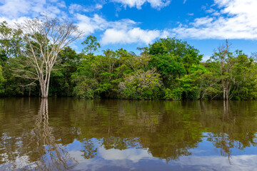 Amazon Green Rainforest Riverbank. Traditional local fishing boats, view from inside. Amazon jungle, near Iquitos, Peru. South America. 