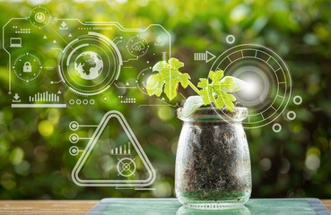 Plant tissue culture growing in laboratory bottles on green blurred background for biotechnology,...