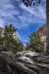 Mount Rushmore Profile in perspective