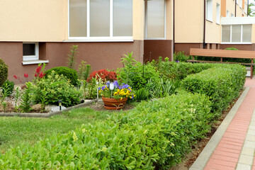 Fototapeta na wymiar Many different beautiful plants on city street. Gardening and landscaping