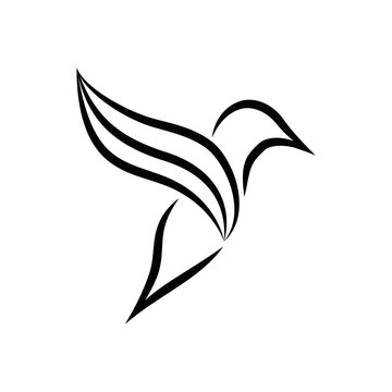 recommend clip art: Logo bird, colibri, dove, line art