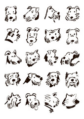 Funny dog faces illustrations vector set, poster for kids. - obrazy, fototapety, plakaty