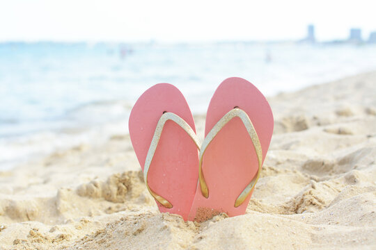 Stylish flip flops in sand on beach near sea