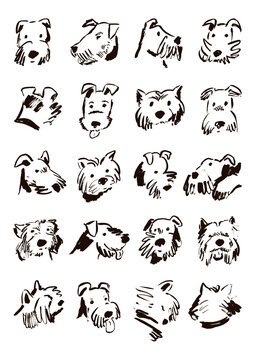 Funny dog faces illustrations vector set, poster for kids.