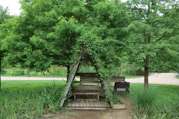 나무, 네이처, 공원, 산책로, 휴식, 