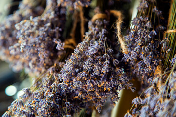 Lavender flowers. The process of drying lavender in bunches. The concept of healthcare, medicine,...