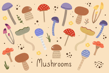 Hand drawn big vector set of various mushrooms