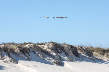 Padre Island National Seashore
