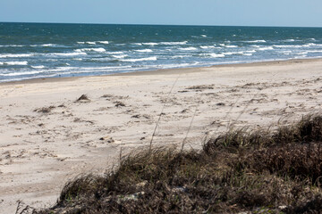 waves on the beach