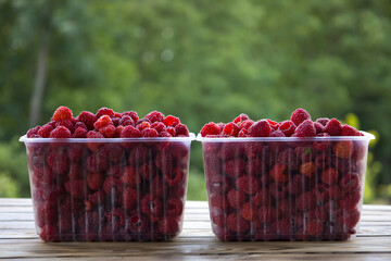 Trays with raspberries, blurred background.