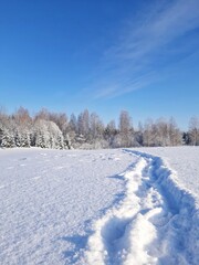 Fototapeta premium The beauty of nature from Latvia