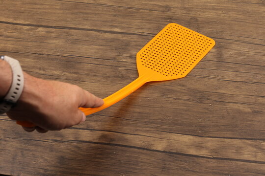 A swatter to kill mosquitoes and flies