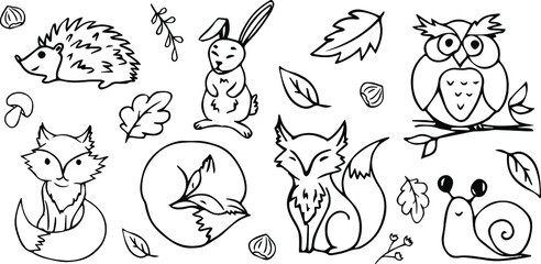 Hand-drawn forest animals. Autumn. Autumn theme. Animals drawn with a line on a white background. Forest. Wildlife. Ink. October. Autumn season. Fox. Hedgehog. Hare. Owl. © Олена Кібець