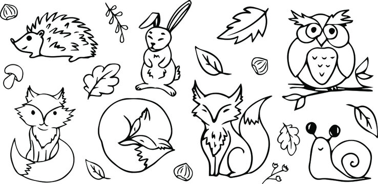 Hand-drawn forest animals. Autumn. Autumn theme. Animals drawn with a line on a white background. Forest. Wildlife. Ink. October. Autumn season. Fox. Hedgehog. Hare. Owl.