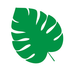Fototapeta Tropical leaf vector illustration on white background obraz