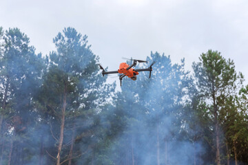 In ecological disaster follow a fire through the forest trees with a drone, the fire department...