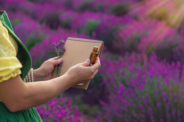 Fototapeta premium A woman collects lavender flowers for essential oil. Selective focus.