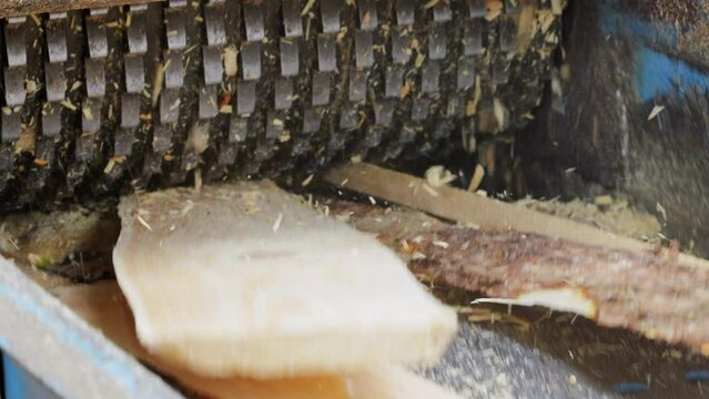 Special equipment grinds boards into sawdust. Woodworking branch. Production of sawdust briquettes for heating