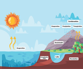 Water cycle process water evaporates to atmosphere condenses into rain in clouds and falls precipitation rain