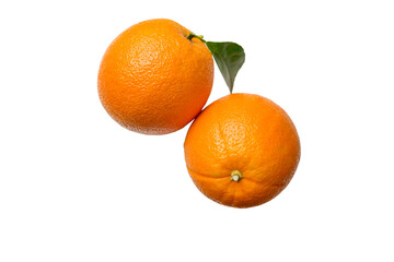 fresh orange citrus fruit isolated on white background top view