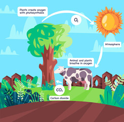 Oxygen cycle animal respiration and photosynthesis process producing corbon dioxide scheme diagram illustration of natural process