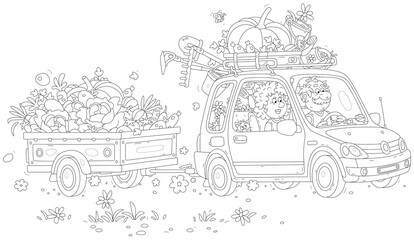 Happy grandpa and grandma with a funny cat, grown vegetables and garden instruments returning from their summer cottage in a car with a small trailer, vector cartoon illustration