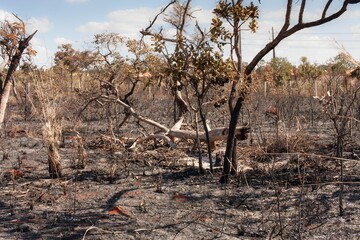 Land near the Tuxa Indian Reservation that was set on fire